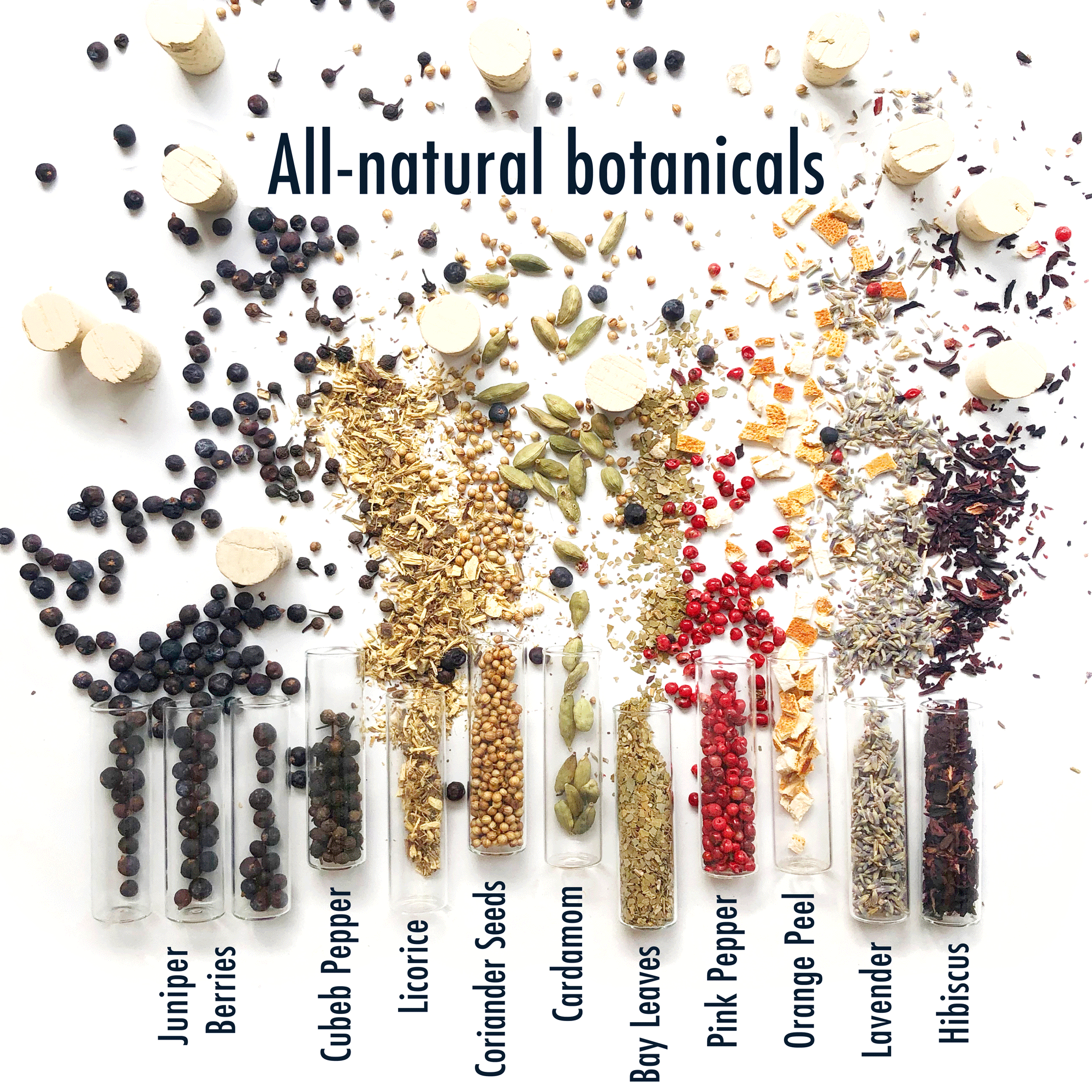 HAZ TU GINEBRA - Kit para hacer ginebra casera