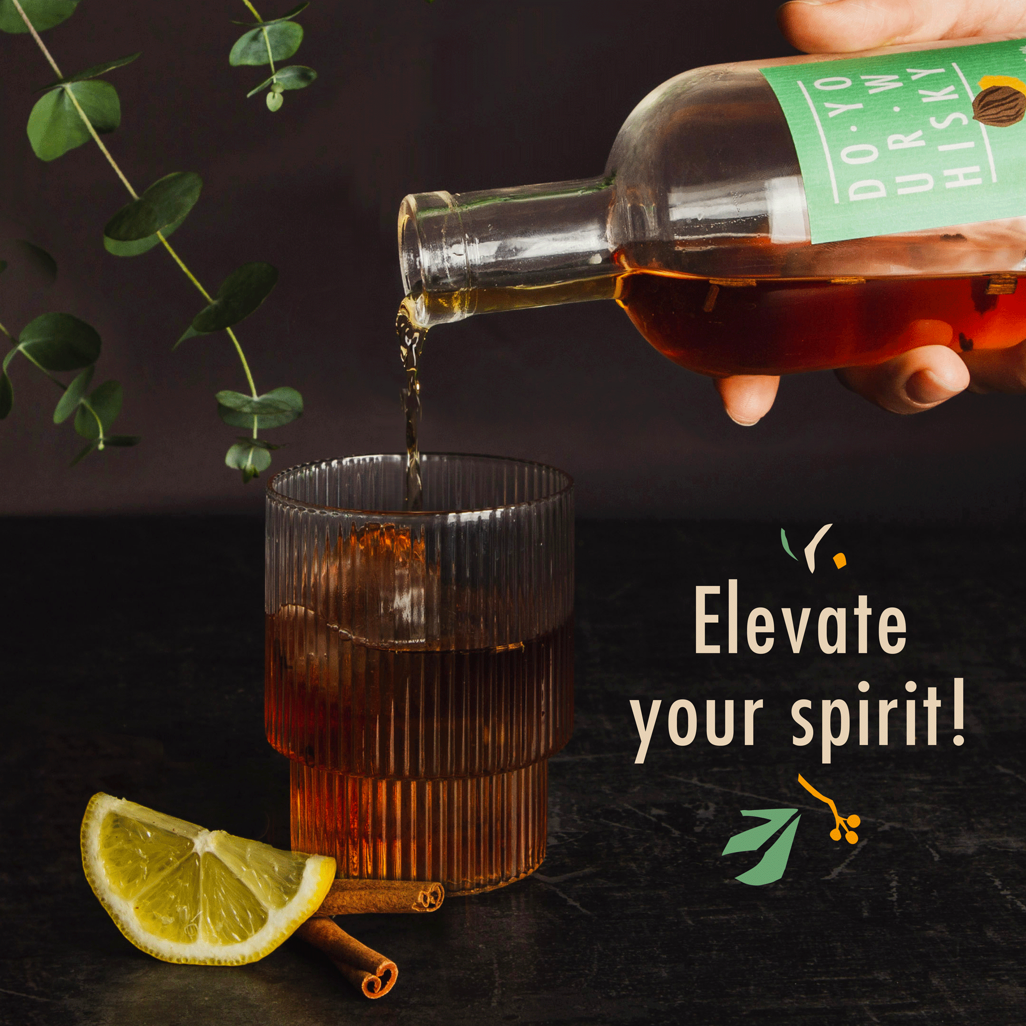 Whiskey Cocktail Infusion Kit