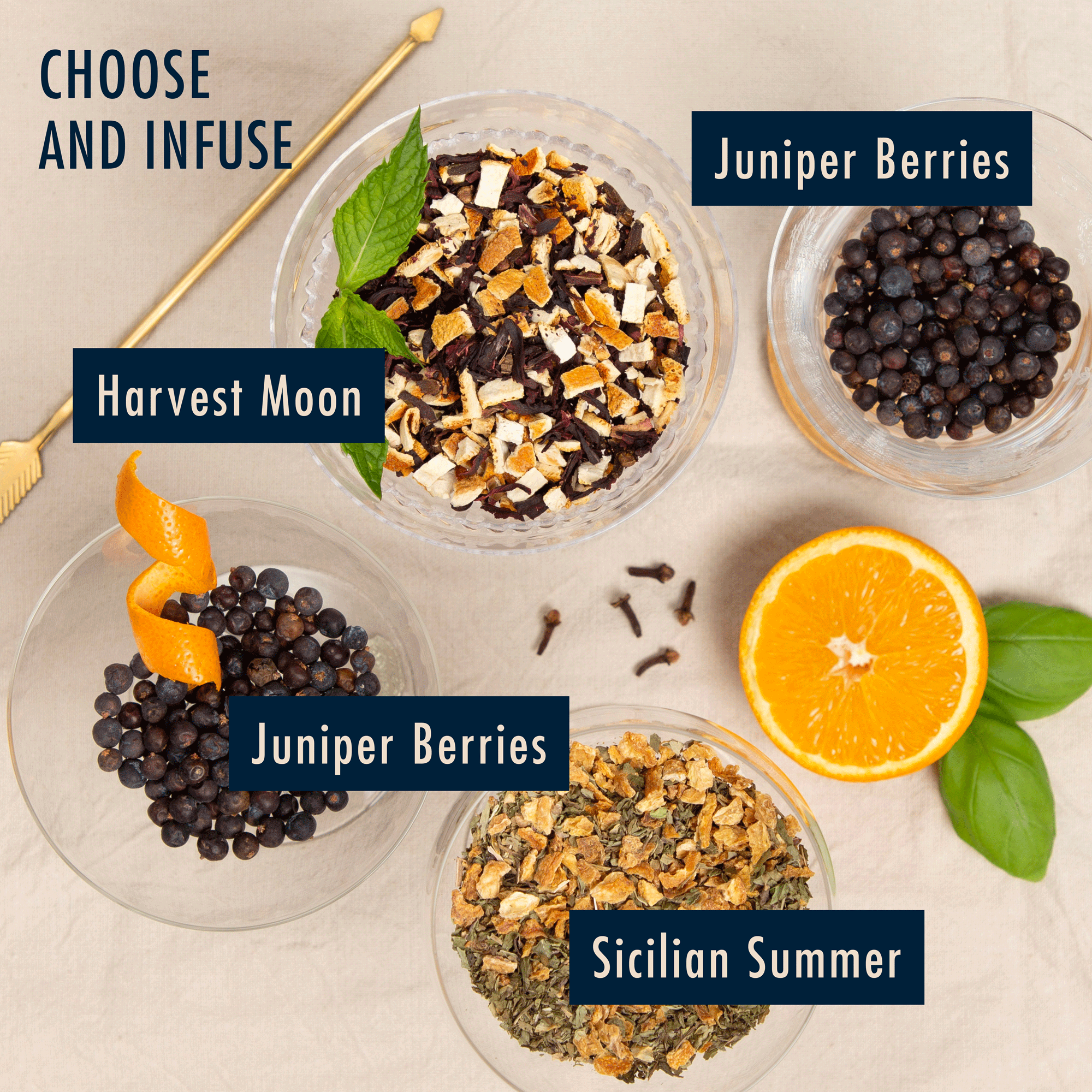 Kit de infusión de ginebra