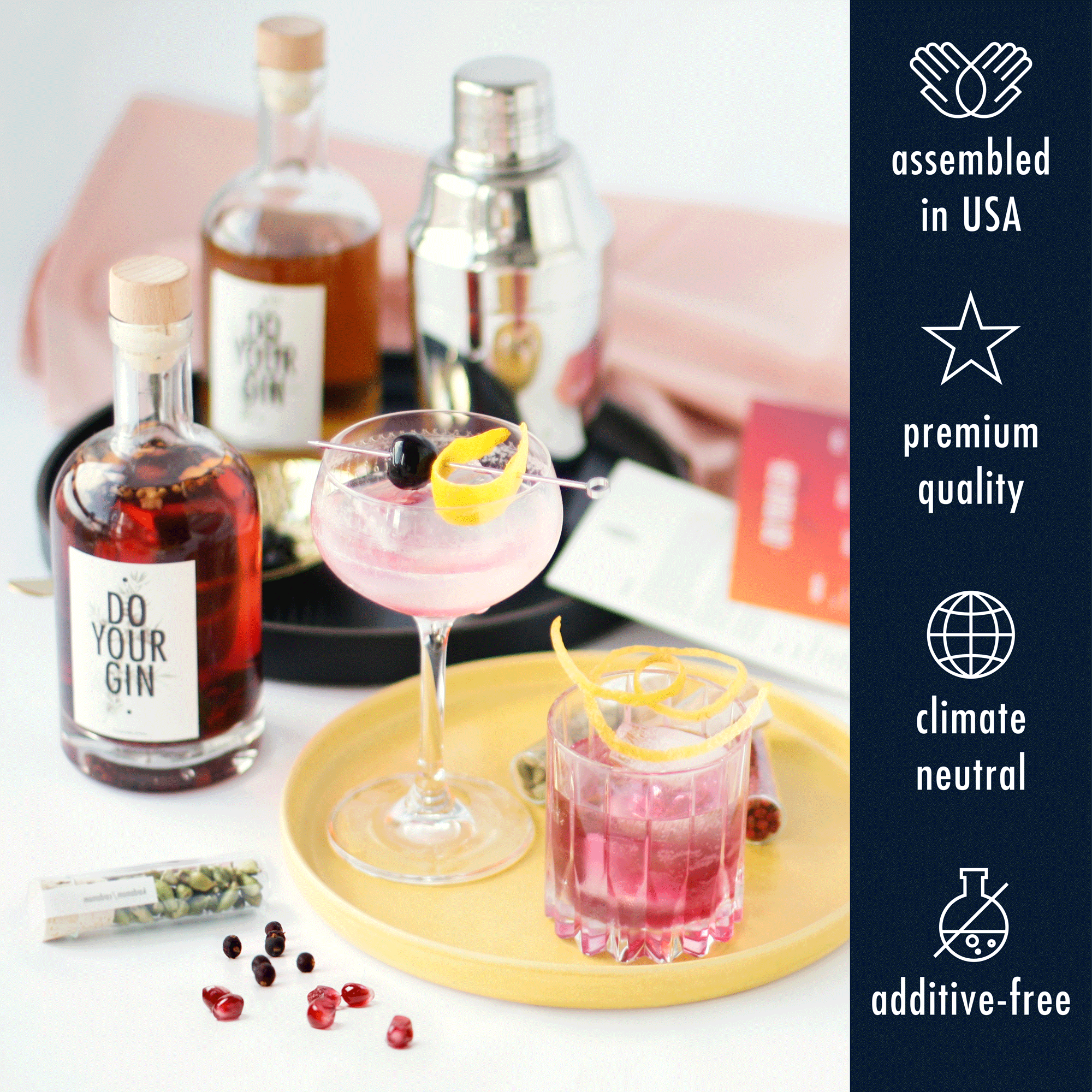 DIY Gin Making Kit // Original Gift Set + Free Juniper Refill - Do Your Gin  - Touch of Modern