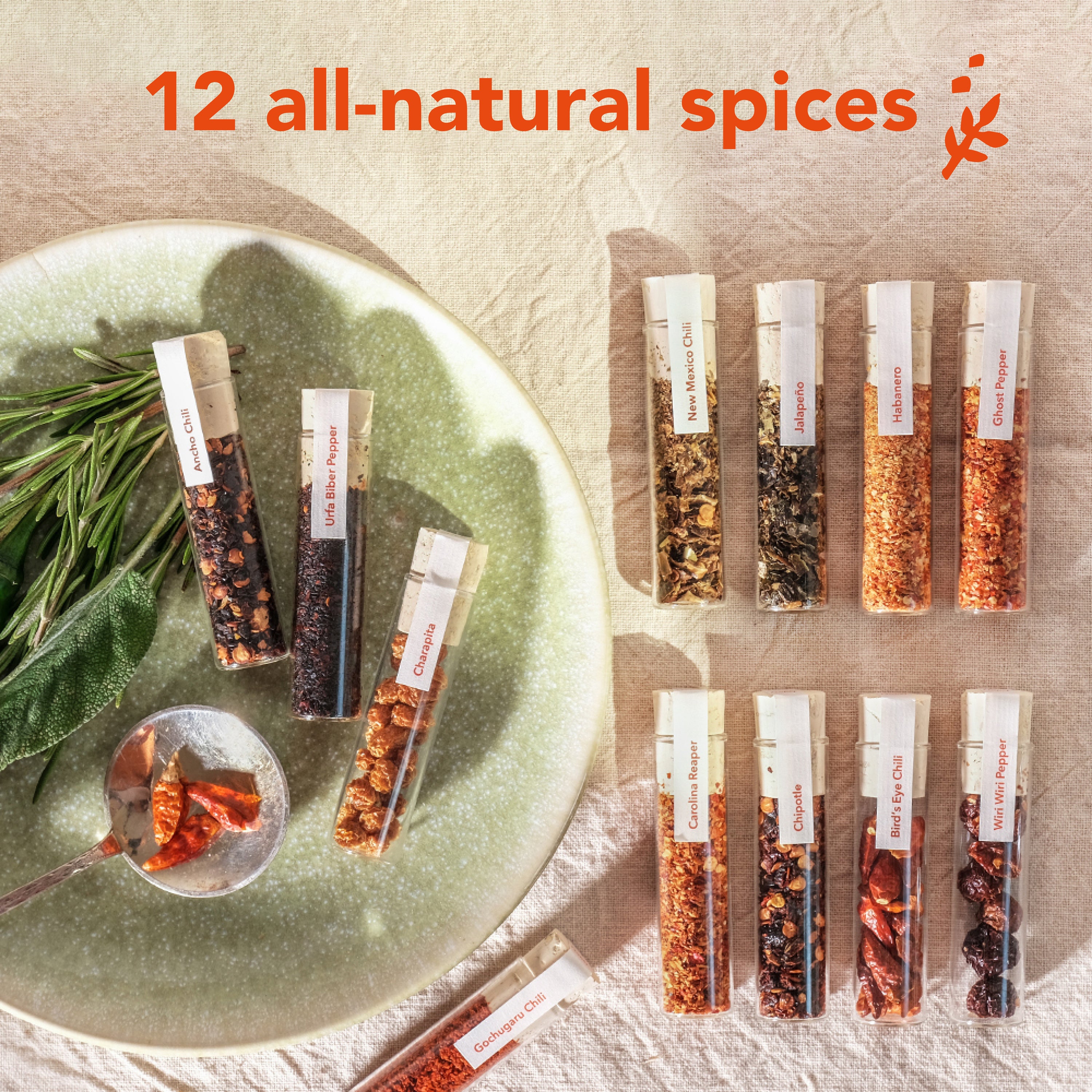 Craftly Chili Spice Box – 12 Exclusive Chili Varieties from Around the World, Spicy Gift for Foodies and Home Cooks